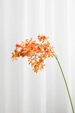 Artificial Flowers - Amber Stem orchid