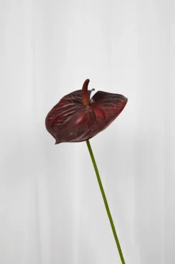 Artificial Flowers - Burgundy Anthurium
