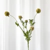 Artificial Flowers - Dusty yellow Scabiosa Seed Pod (multible heads)