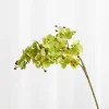 Artificial Flowers - Green Orchid (21 heads)