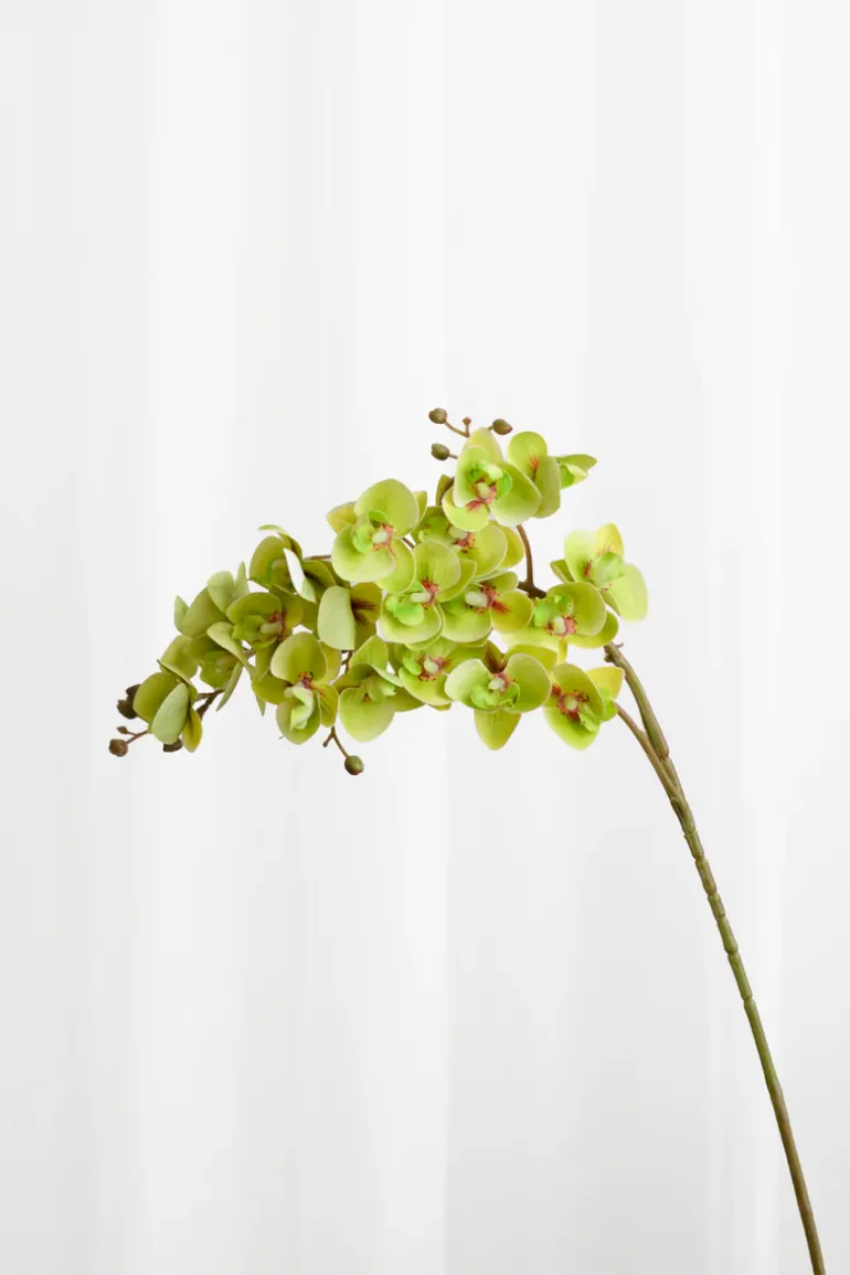 Artificial Flowers - Green Orchid (21 heads)