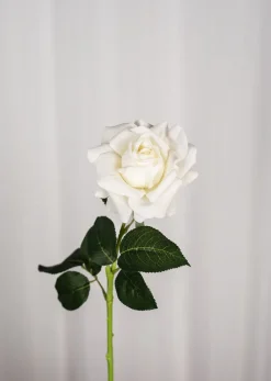 Artificial Flowers - Ivory Rose
