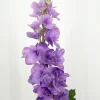 Artificial Flowers - Purple Consolida