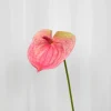 Artificial Flowers - Rose Anthurium
