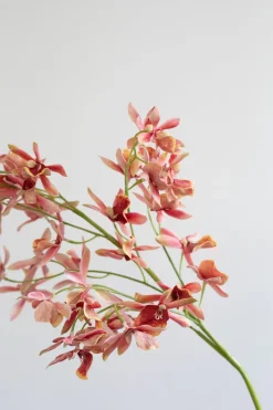 Artificial Flowers - Rose Stem orchid