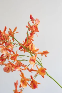 Artificial Flowers - Sunset Stem orchid
