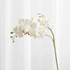 Artificial Flowers - White Orchid (21 heads)