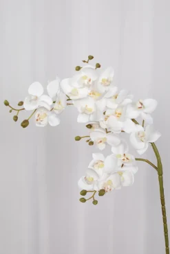 Artificial Flowers - White Orchid (21 heads)