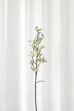 Artificial Flowers - White Dendrobium